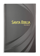 BIBLIA RV-95 LETRA GRANDE