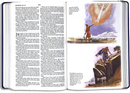 THE ILLUSTRATED KJV BIBLE FOR CHILDREN