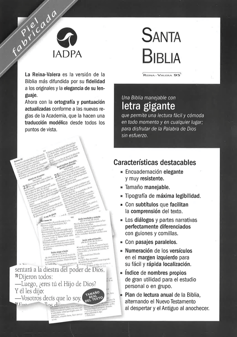 BIBLIA - LETRA GIGANTE - RV95 - GRANATE