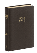 HOLY BIBLE KJV - LARGE PRINT - LEATHER