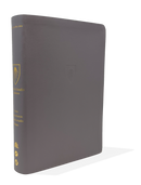 BIBLIA DE ESTUDIO DE ANDREWS