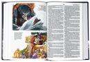 THE ILLUSTRATED KJV BIBLE FOR CHILDREN
