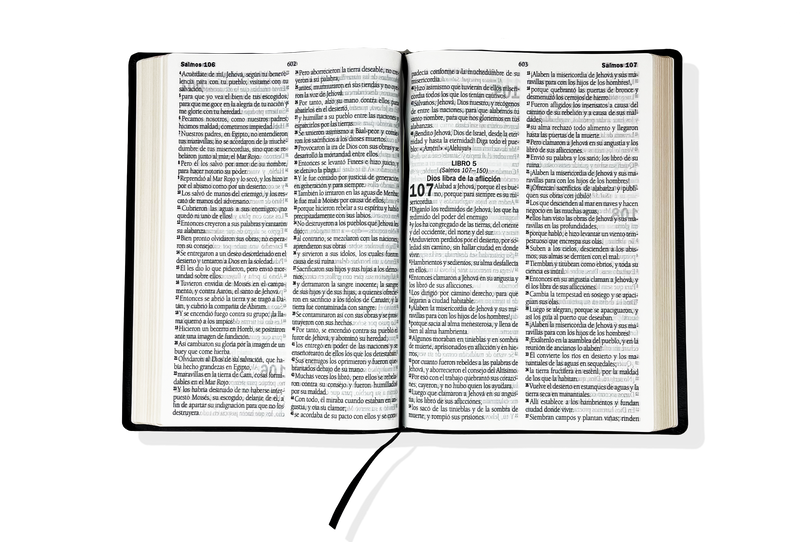 BIBLIA - LETRA GIGANTE - RV95 - GRANATE