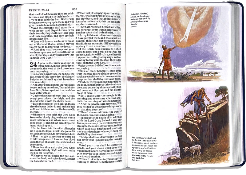 THE ILLUSTRATED KJV BIBLE FOR CHILDREN