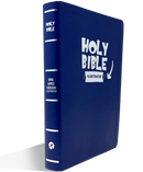 THE ILLUSTRATED KJV BIBLE FOR CHILDREN
