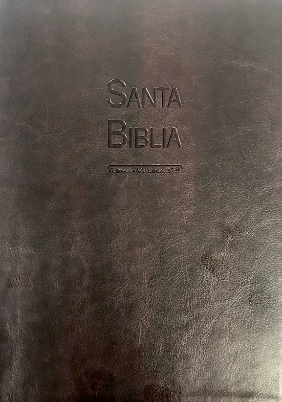 BIBLIA - LETRA GIGANTE - RV95 - GRANATE