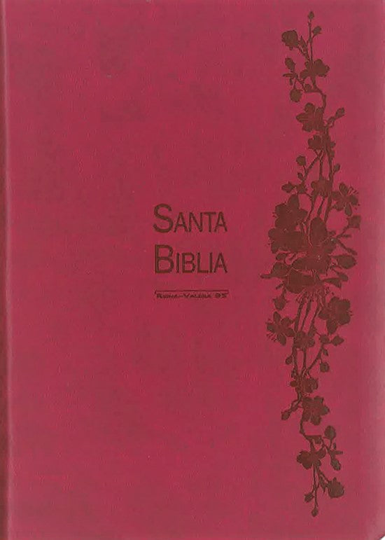 BIBLIA - RV95 - MUJER - VINO - HIMNARIO