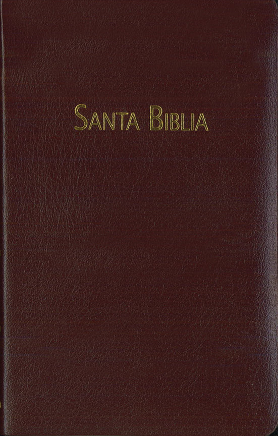 BIBLIA RVC - MEDIANA - PIEL - VINO - HSM