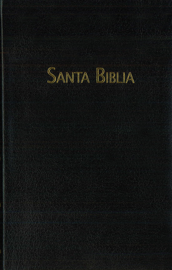 BIBLIA RVC - PASTORAL - HSM
