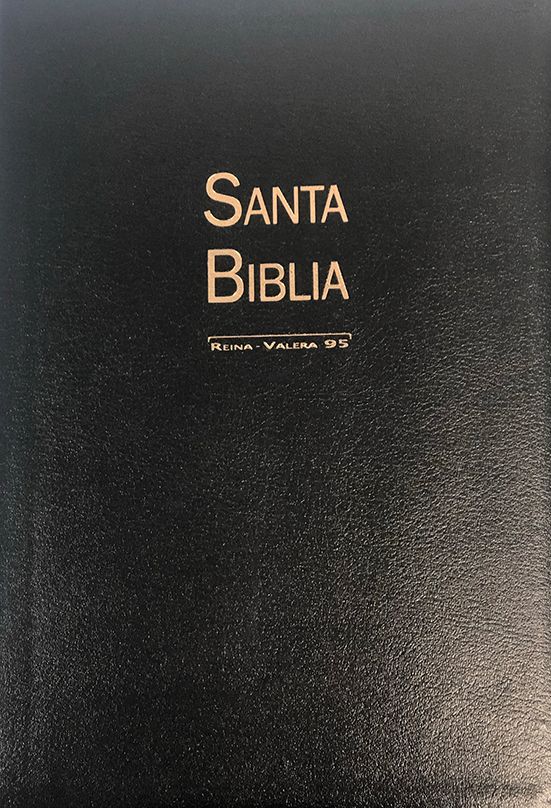 BIBLIA - LETRA GIGANTE - RV95 - NEGRA