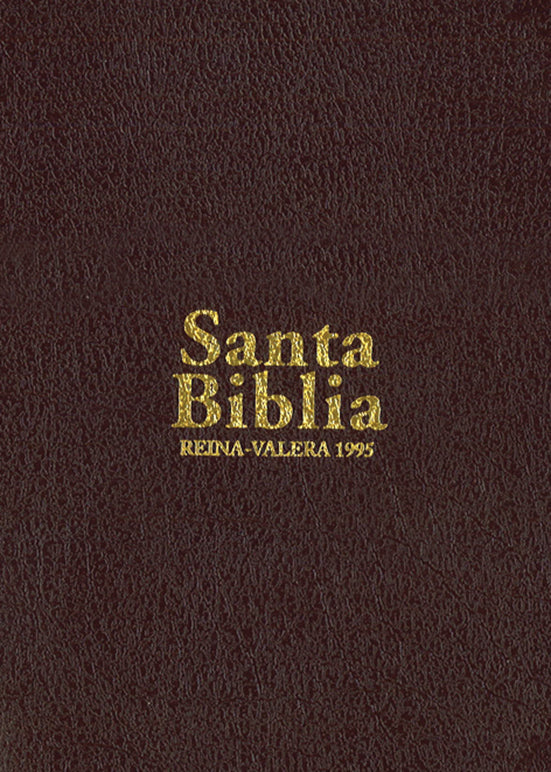 BIBLIA RVR95 - MUJER - PEQUEÑA - VINO