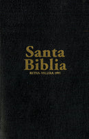 BIBLIA - RVR95 - PASTORAL - HSM